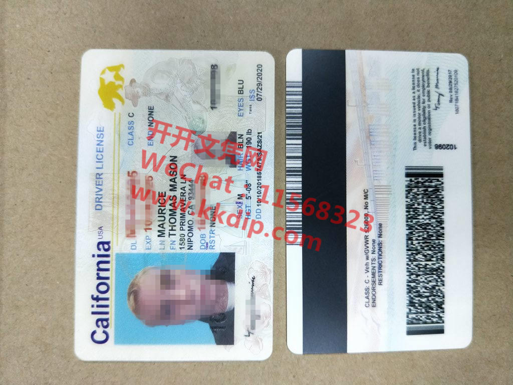 Nil Fake Id